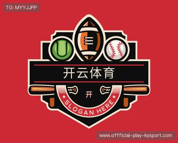 介绍开云电竞服务