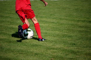 开云体育登录网站入口-NBA球员技术动作进阶训练，nba球员训练方式